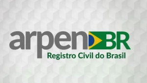 Diretoria da Arpen-Brasil discute avanços da agenda do Registro Civil no Legislativo e demais temas pertinentes da classe